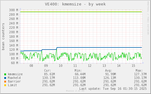 VE400: kmemsize